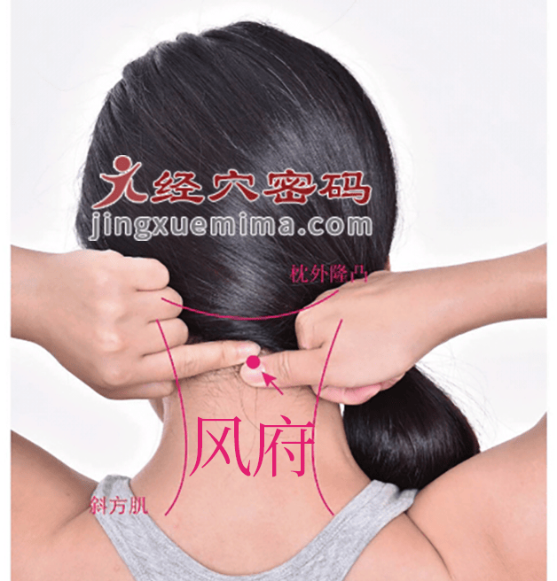 風(fēng)府穴：督脈之氣在此吸濕化風(fēng):吸風(fēng)罩