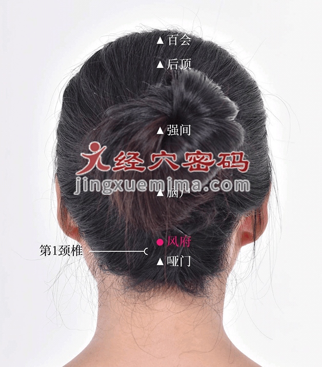 風(fēng)府穴：督脈之氣在此吸濕化風(fēng):吸風(fēng)罩